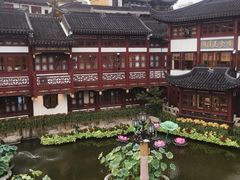 -豫园湖心亭茶楼