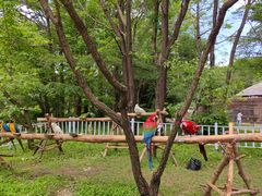 -哈尔滨北方森林动物园