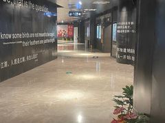 -银兴国际影城(星汇维港店)