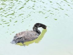 -江苏三台山国家森林公园