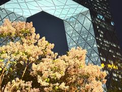 -国贸中心·国贸大厦三期