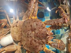 -南海底小海鲜·湘菜(鲁巷吴家湾店)