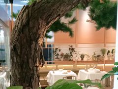 -桂满陇·手作小笼包&江南叫花鸡(中山公园店)