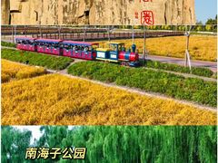 -迎泽公园