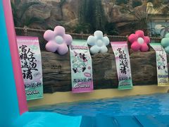 -杭州开元森泊度假乐园