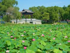 -长春北湖公园