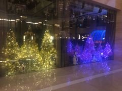 -北京首都机场希尔顿酒店