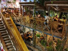 -Rainforest