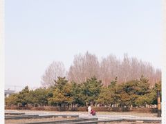 -长春公园(普阳街道)