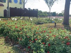 -歌斐颂巧克力小镇