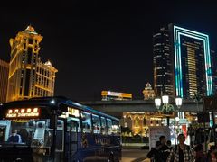 -澳门威尼斯人综合度假区