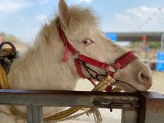 -仙海旅游度假区