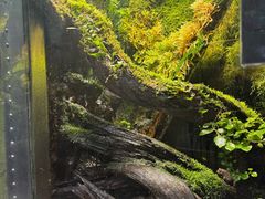 -墨尔本博物馆(Melbourne Museum)
