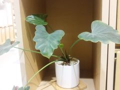 -MUJI无印良品(杭州万象城店)