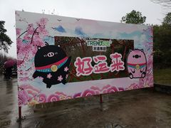 -天适樱花悠乐园