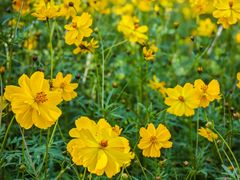 -朝阳公园游乐园