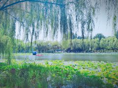 -WhaleSports户外水上运动俱乐部(朝阳公园店)