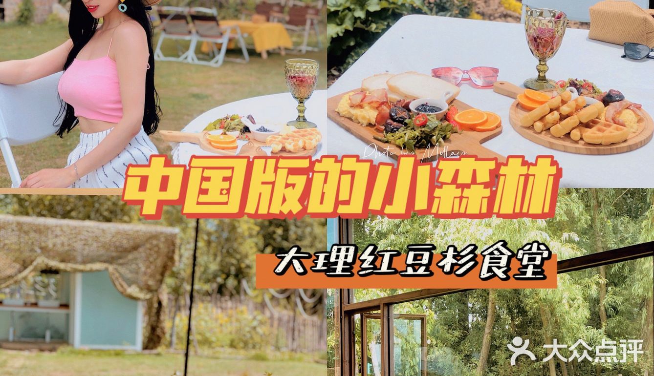 大理藏着中国版的 小森林 