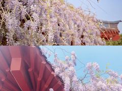 -洛阳市隋唐城遗址植物园