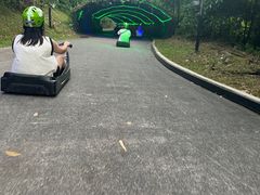 -圣淘沙天际线斜坡滑车