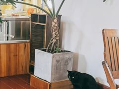 -春风十里咖啡馆
