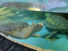 -多彩贵州城极地海洋世界