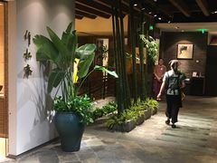 -青藤茶馆(南山路店)