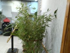 -大清花饺子(山庄店)
