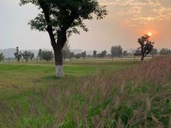 -汉长安城未央宫国家考古遗址公园