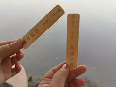 -西湖游船