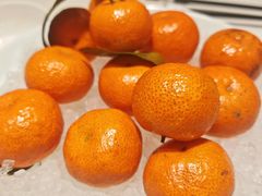 -庆和楼(北师大店)