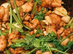沙姜嗜鸡-煲煲好(朝阳门店)