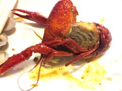 -西街夜油条·麻团包乌饭