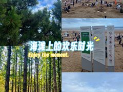 -日照海滨国家森林公园