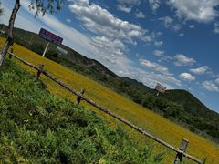 -大连铭湖国际观光牧场