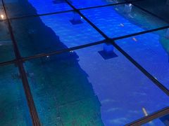 -上海长江河口科技馆