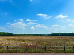 -塞罕坝国家级自然保护区