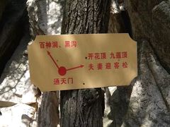 -太平万花山景区