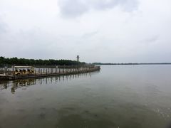 -溱湖国家湿地公园