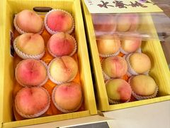 -南汇水蜜桃采摘(大团店)