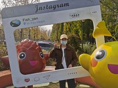 -黄海国家森林公园