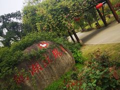 -鹅湖玫瑰文化园