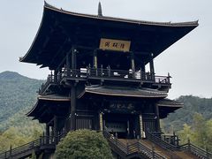 -大唐贡茶院