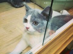 -宝鸡东道花鸟鱼虫市场(吉利花园商场店)