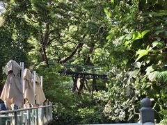 -丽泽山庄·生态怀柔菜·虹鳟鱼(红螺寺店)