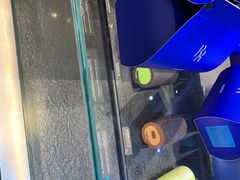 -the Roll'ING手作瑞士卷专门店(卓悦中心店)