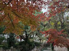 -白马涧龙池景区