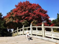 -庐山风景区花径公园