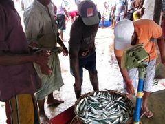 -尼甘布海鲜市场