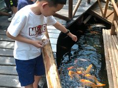 -上海大自然野生昆虫馆(东方明珠·爬宠昆虫探索中心)